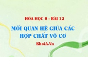 Hệ thống bằng sơ đồ mối quan hệ giữa các Hợp chất Vô cơ...